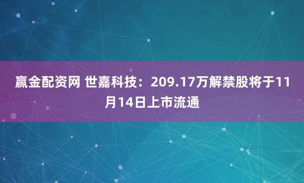 赢金配资网 世嘉科技：209.17万解禁股将于11月14日上市流通
